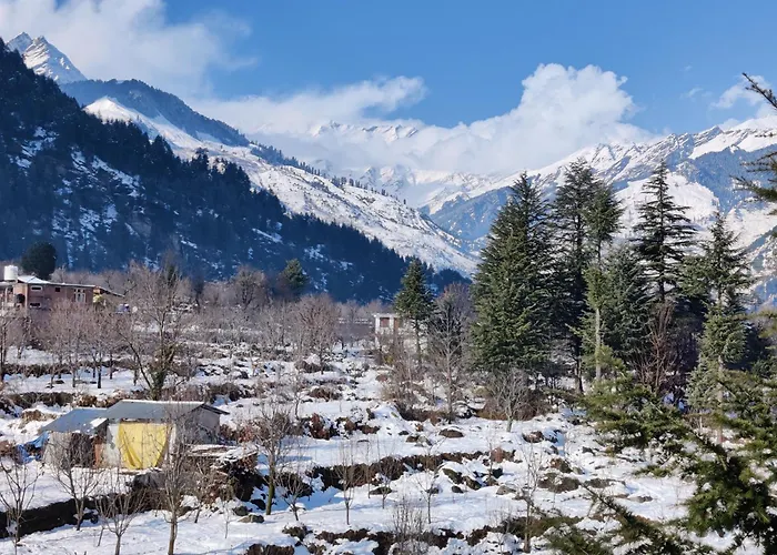 Safar Hostel Manali